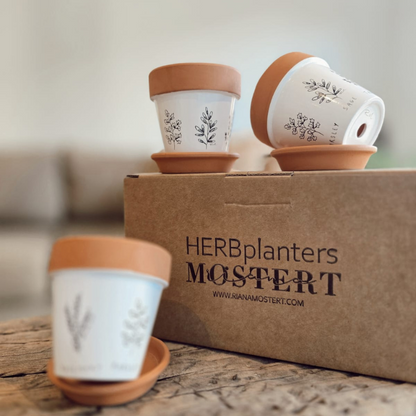 Terracotta Herb Planter Set with illustrations - Set of 3