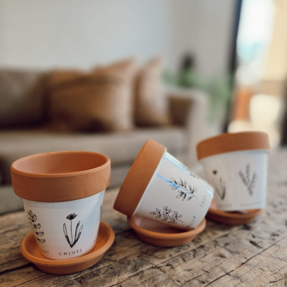 Terracotta Herb Planter Set with illustrations - Set of 3